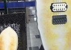 仙台の楽器店に「笹かまぼこギター」　 本物の「笹かま」を並べてみた