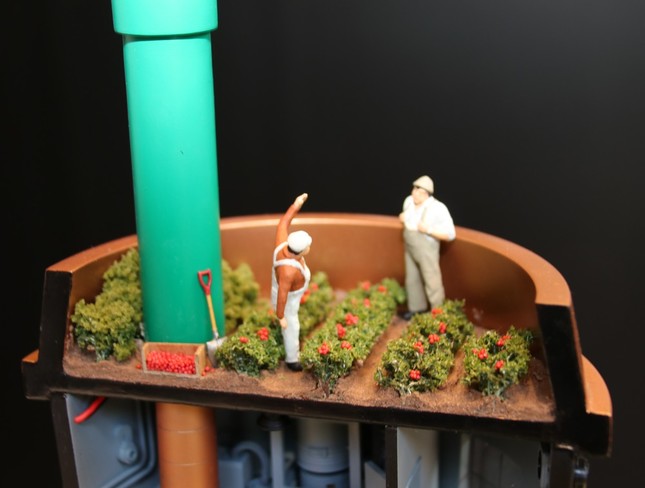 屋上ではコーヒーの栽培・収穫作業が行われている