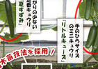 1つの苗に2品種のキュウリができる　サラダ用とピクルス用...「同時」に簡単栽培