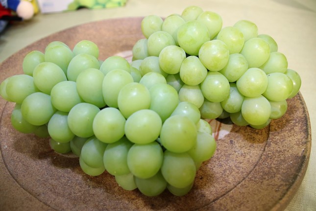 「マスカット・オブ・アレキサンドリア」