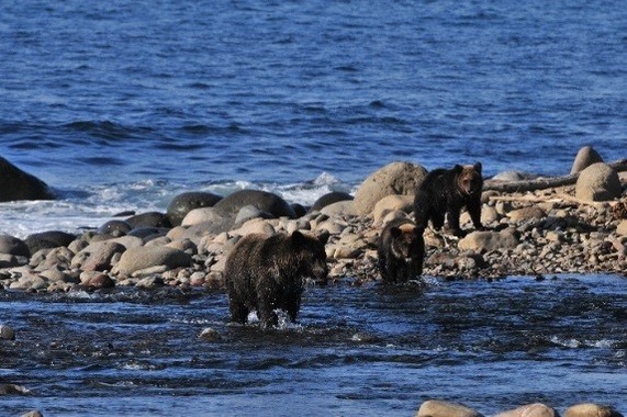 酷暑を避けて北海道東端へ