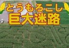 山形・鶴岡に出現した巨大迷路　大きさはサッカーフィールド並み