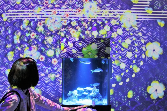 太鼓を叩くと、水槽内の生き物をテーマにしたデザイン花火が