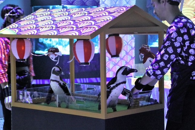 ペンギンたちが「屋台」に乗って登場