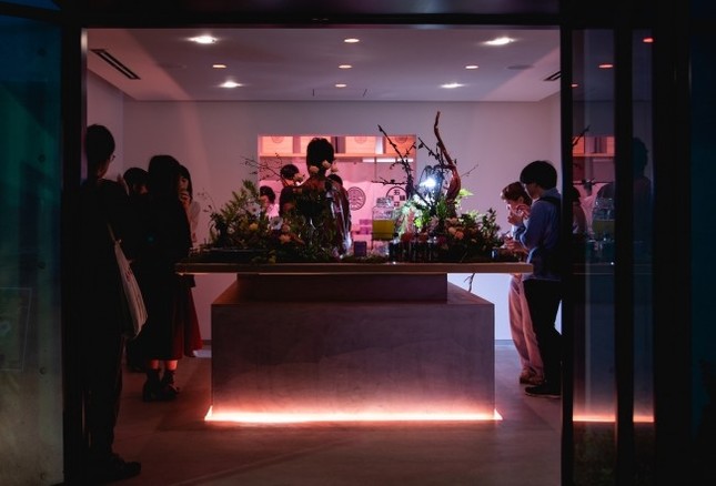 夜は妖艶な照明に