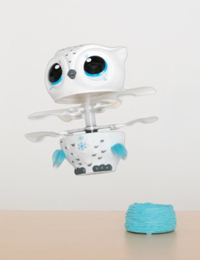 赤ちゃんフクロウ「オウリー」に飛び方を教えてあげよう