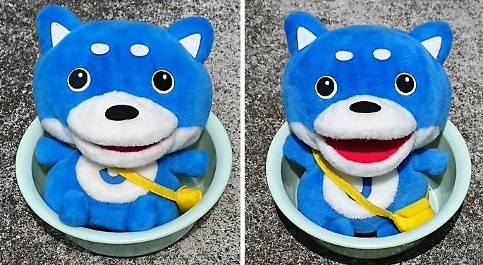 最後に体をきれいにしたの、いつだっけ？　カス丸を洗ったら毛、毛が...