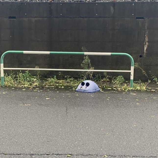 道路に落ちたゴミ箱の蓋（中根咲良さん提供）