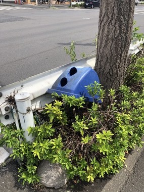 植え込みに刺さったゴミ箱の蓋（かわうそちゃんさん提供）