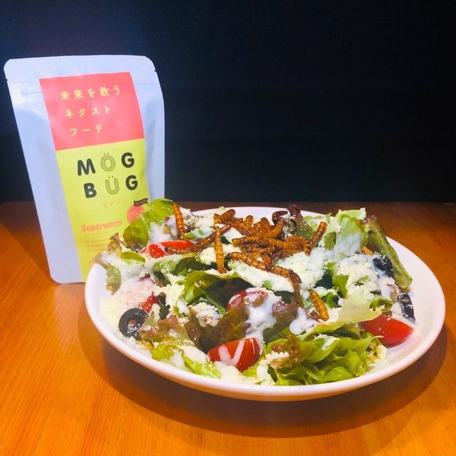 にょろにょろスーパーワームのシーザーサラダ