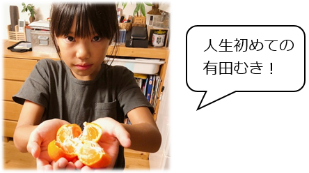 手が汚れず、ゴミもまとまる有田むき