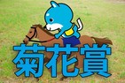 ■菊花賞「カス丸の競馬GⅠ大予想」　　　　 ヴェロックスは鉄壁なのか
