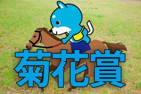 ■菊花賞「カス丸の競馬GⅠ大予想」　　　　 ヴェロックスは鉄壁なのか