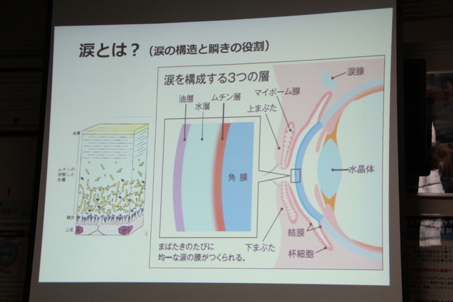 角膜を守る涙の仕組み