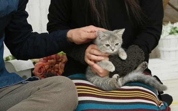 長く生活を共にしていれば情が移る