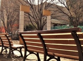 風が吹いている　水野良樹さんは五輪をめぐるバラバラをそのまま書いた