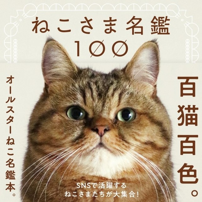 「ねこさま名鑑100」（パイ インターナショナル）