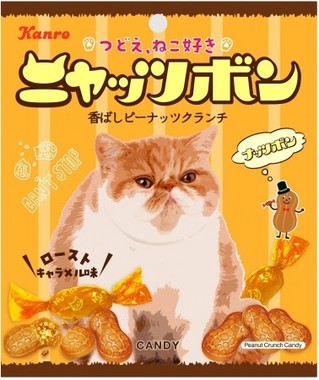 限定パッケージ「ニャッツボン」
