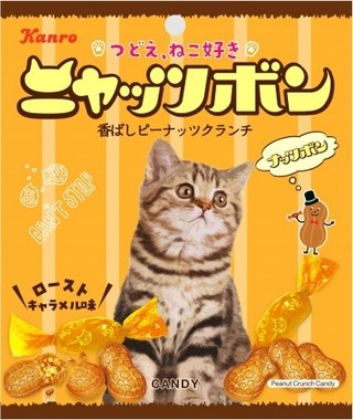 ななめに目線を向ける猫