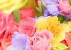 新型コロナで苦境の生花店　「こんな時こそ」花買って応援、広がる善意の輪