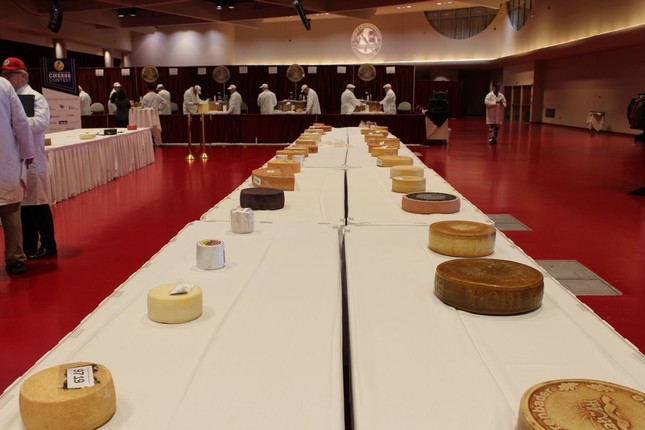 世界のチーズがずらりと並ぶ