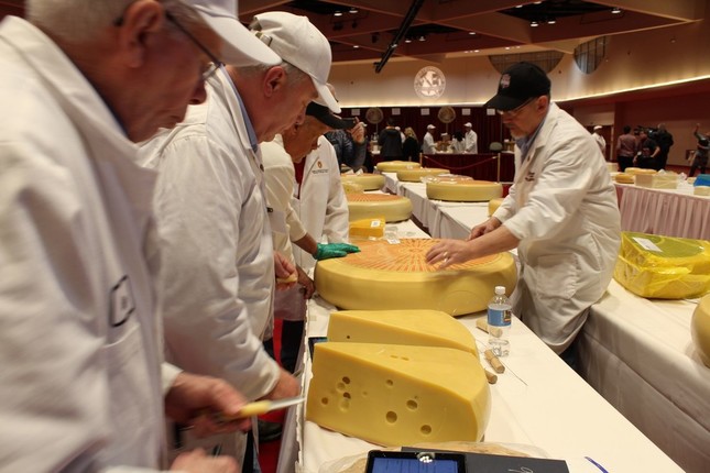 2日間にわたり審査が行われた