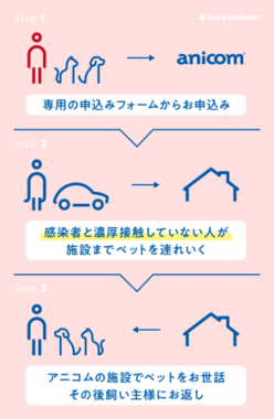 申し込みからの流れ