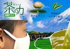静岡産「茶の実」オイル使用の抗菌マスク　長時間付けても臭くなりにくい