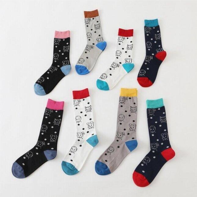 2種類をラインアップ