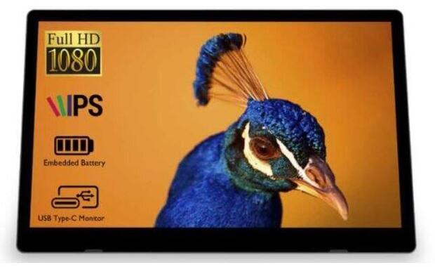 ノートPCとのデュアルディスプレーや外出先でのゲームプレイにも