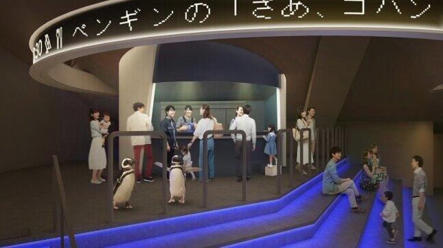 すみだ水族館リニューアルオープン日決定！