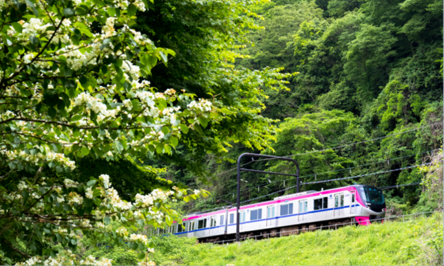 夏休み限定！新宿から高尾山までノンストップ「Mt.TAKAO号」運行
