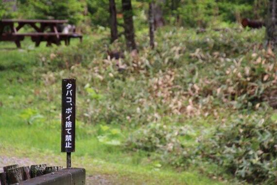 山でもタバコのポイ捨てはやめよう（画像はイメージ）