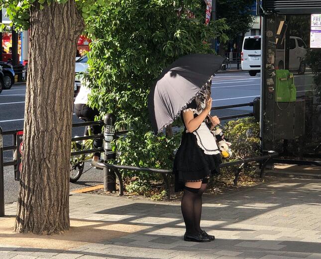 日傘を差しながらチラシを配るメイドさんも