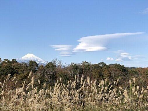 高い山の風下に現れやすいというつるし雲（写真は本日のものではありません）