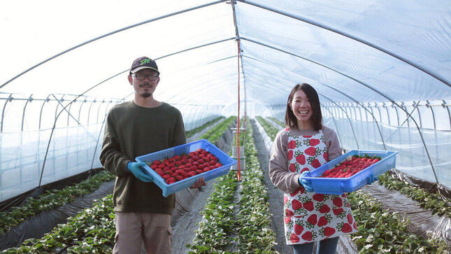 生産者にはSNSを通じて感謝を伝えることができる 