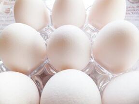 「日本のタマゴ」はどうなる