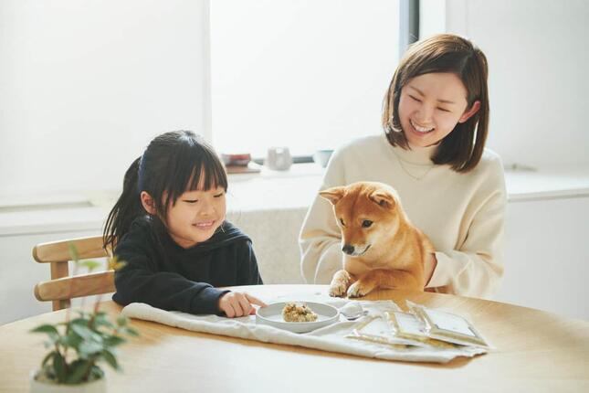 2年間常温保存可能なレトルトフード「愛犬のための非常食」