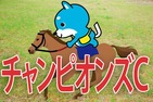 ■チャンピオンズカップ「カス丸の競馬GI大予想」 ソダシは初ダートで勝てるのか