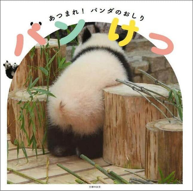 個性溢れるパンダのおしりが大集合