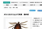 新種の甲殻類に「オシリカジリムシ」　14年前の虚構新聞記事が「現実」に 
