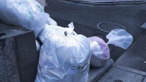 あなたの街に指定のごみ袋はありますか　（写真はイメージ）