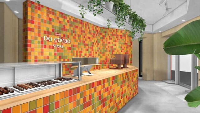 カカオのある原風景をイメージした店内