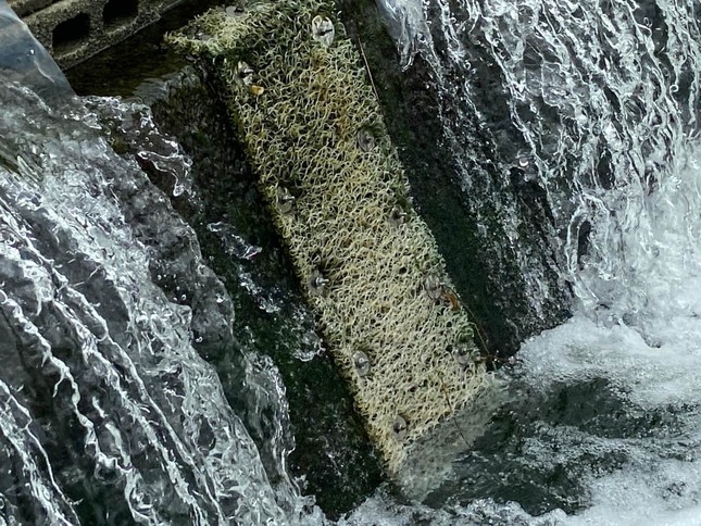 構想に1年かけて実用。うなぎの遡上(そじょう)を助けるお米由来の「魚道」