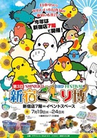 小田急百貨店で「新宿ことり博」　かわいい小鳥のグッズが全国から