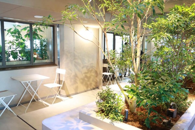 共有スペース（センターテラス）