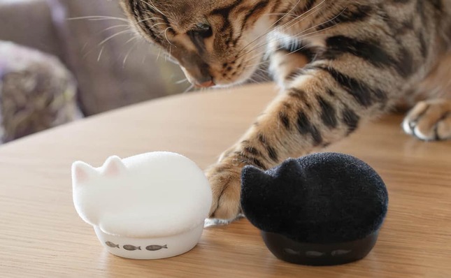 猫好きにはたまらないデザイン＆仕様、フロッキーver.登場
