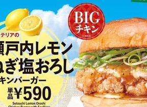 ゼッテリア　期間限定「夏の和風おろしバーガーフェア」