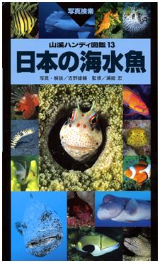 眺めるだけであなたもダイバー気分に