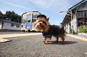 「皆さん、ボクに会いにきてね」